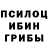 Галлюциногенные грибы прущие грибы BlackValleyRequiem
