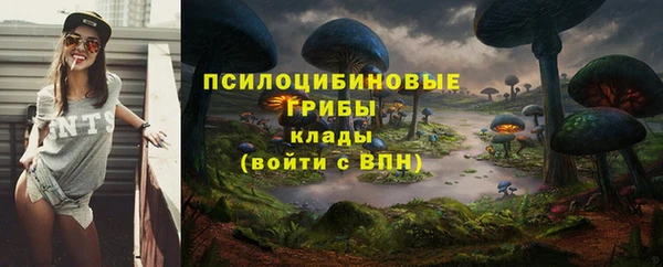 Альфа ПВП Алексин